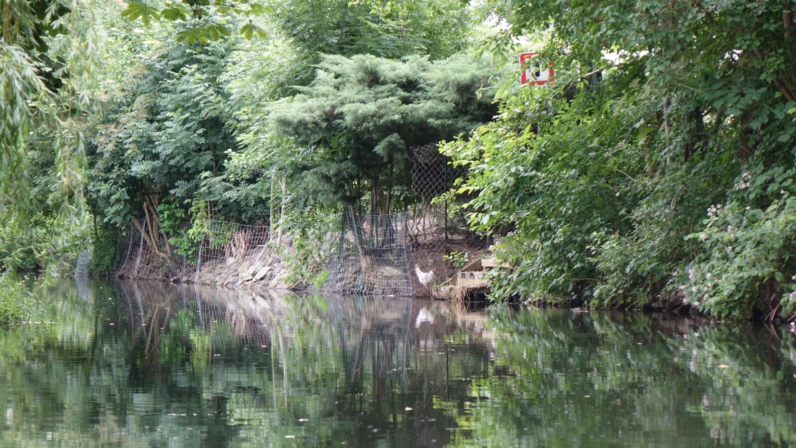Sony Cyber-shot DSC-RX10 sample photo. Nature, spreewald, water photography