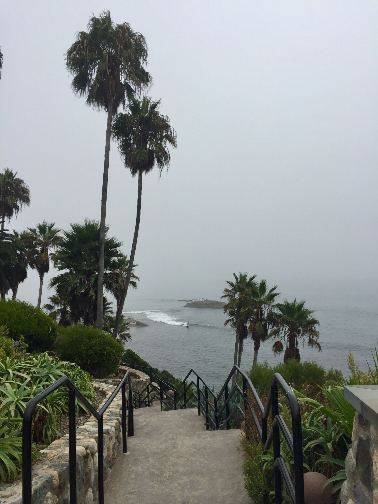 iPhone 6 back camera 4.15mm f/2.2 sample photo. Beach, laguna beach, path photography