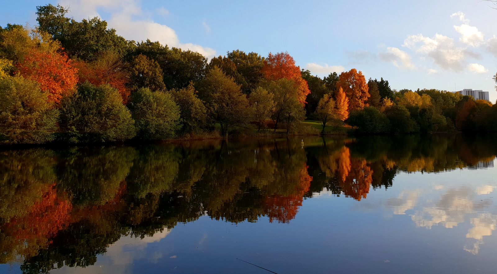 Samsung Galaxy S9 sample photo. Autumn, red, orange photography