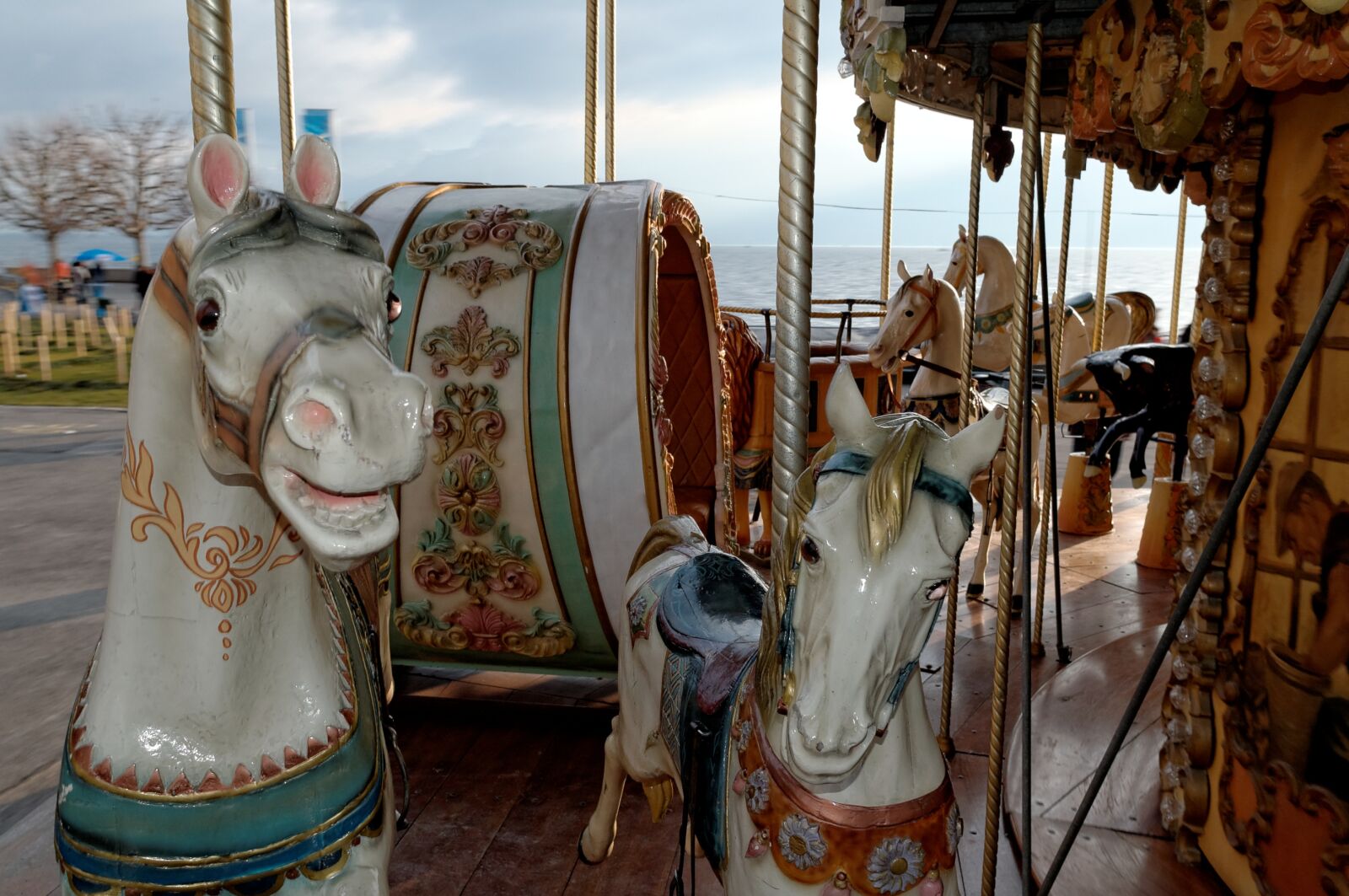 Nikon D50 sample photo. Carousel, old, horses photography