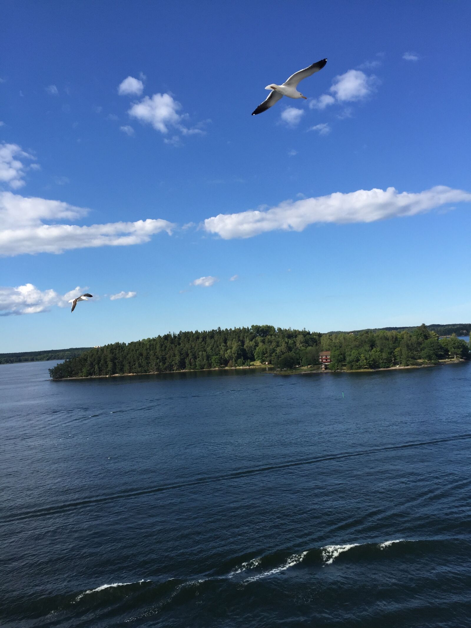 Apple iPhone 6 sample photo. Islands, sweden, summer photography