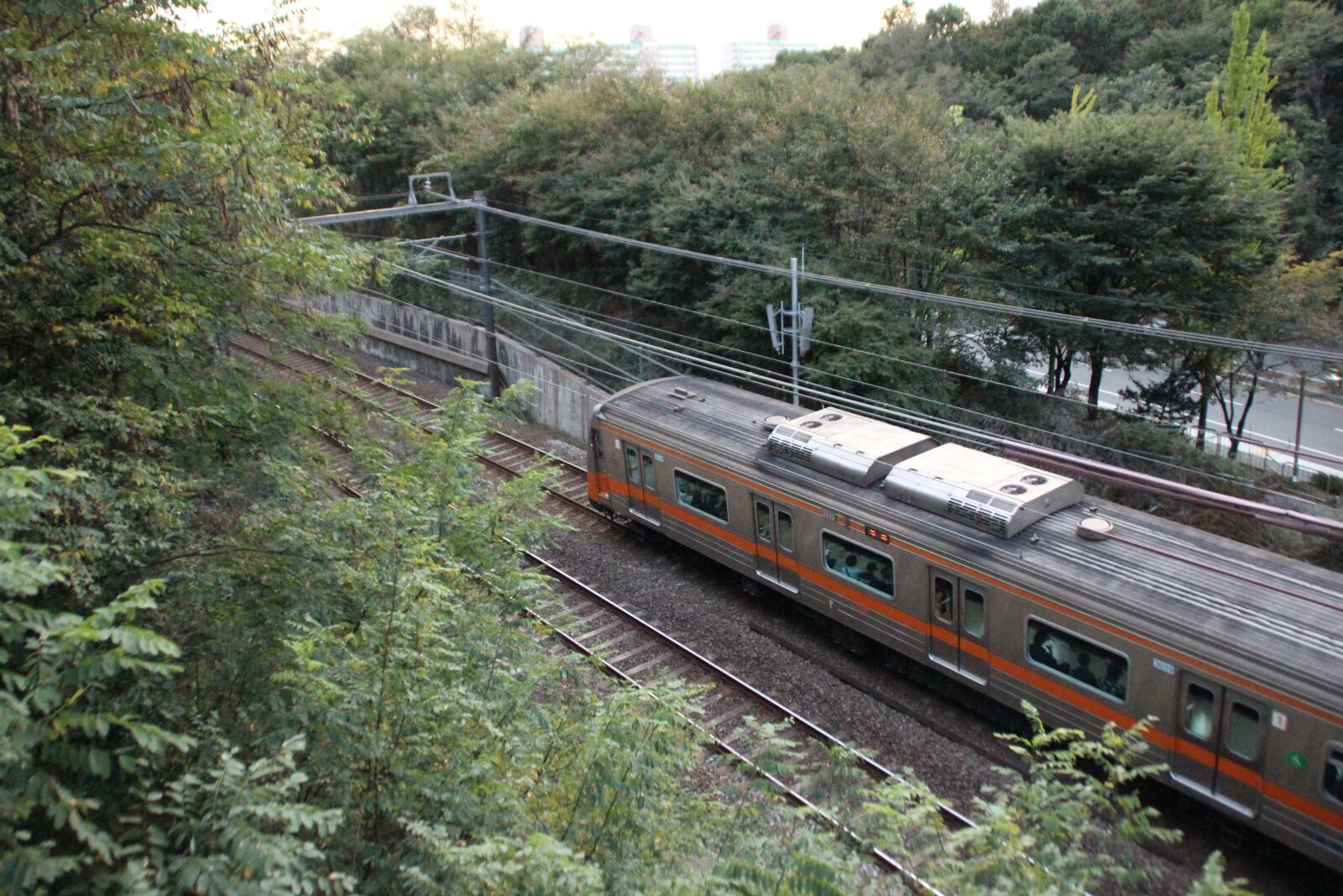 Canon EOS 600D (Rebel EOS T3i / EOS Kiss X5) sample photo. Travel, nature, train photography