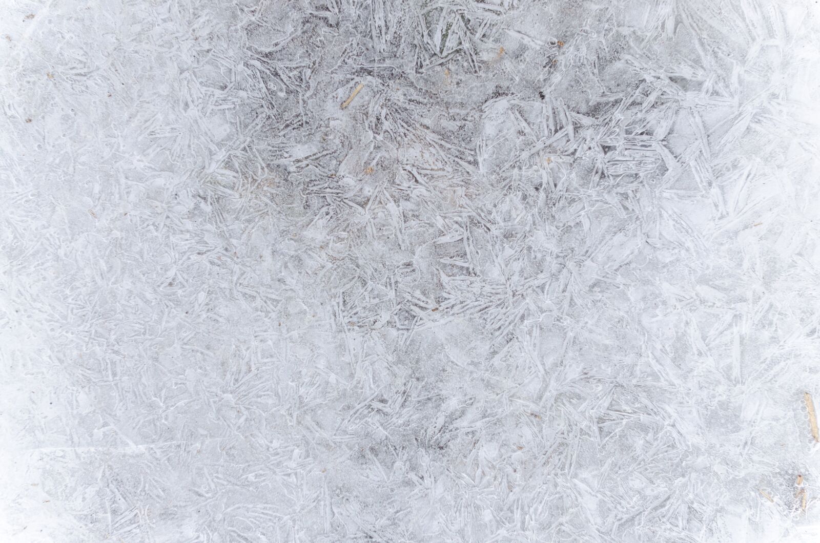 Nikon D5100 sample photo. Pattern, winter, cold photography