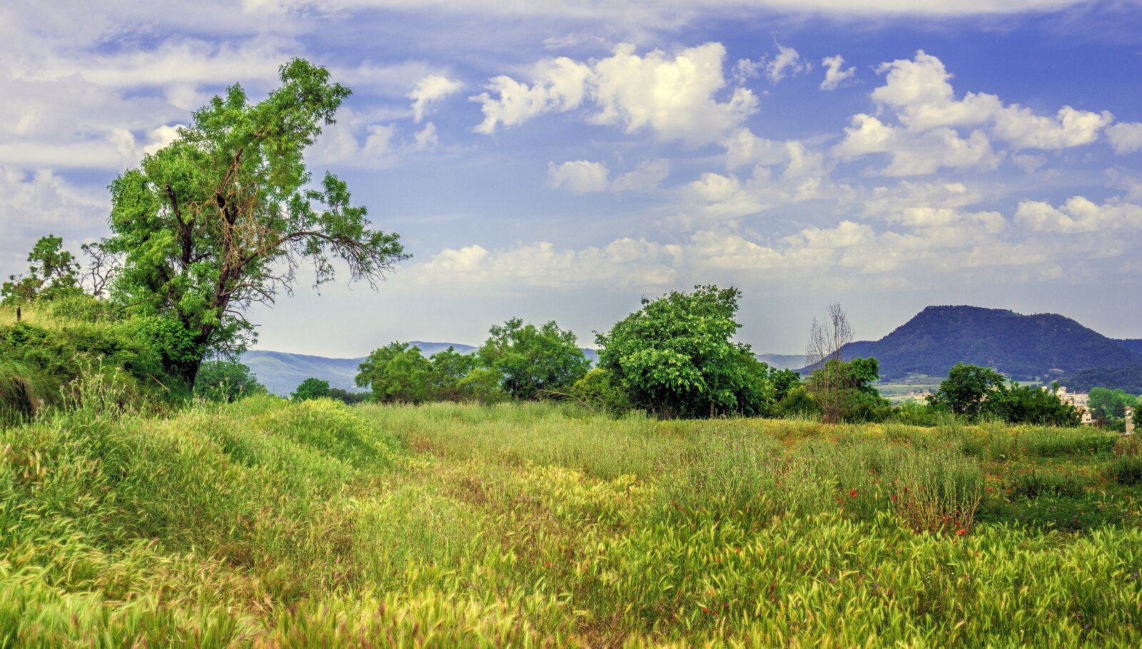 Sony a6000 sample photo. Nature, landscapes, rural landscape photography