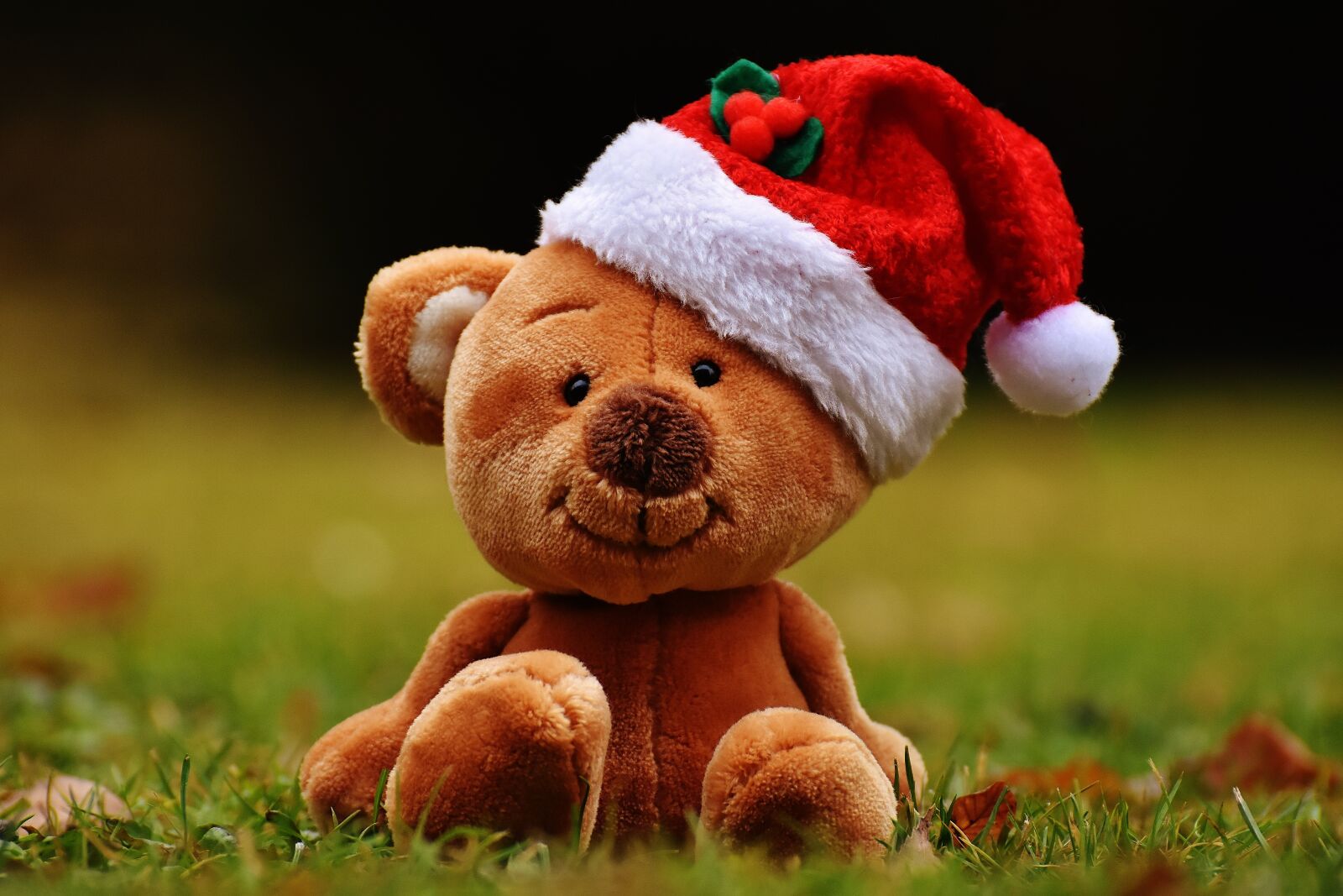 Nikon D7200 sample photo. Christmas, teddy, soft toy photography
