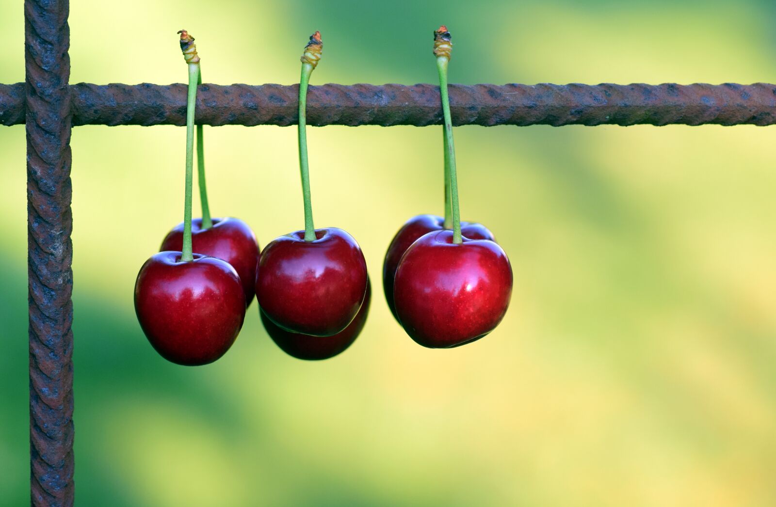 Nikon D3300 sample photo. Cherries, fruits, fruit photography