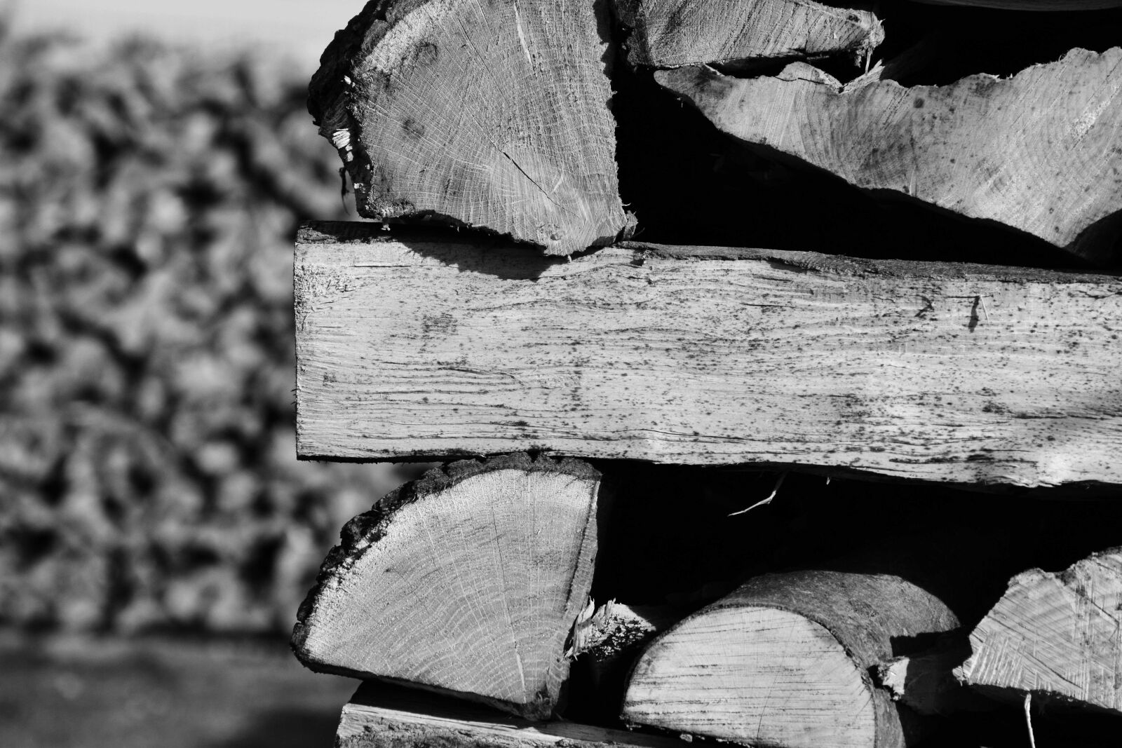 Nikon D3300 sample photo. Firewood, monochrome, wood, nature photography