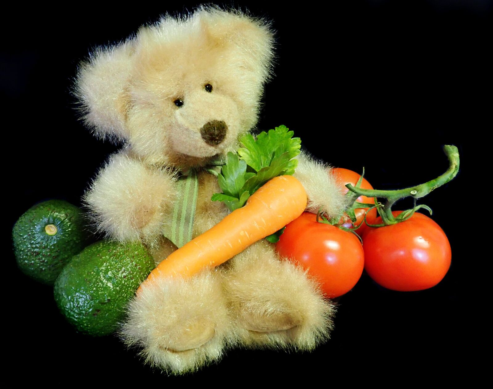 Olympus TG-5 sample photo. Teddy, bear, cute photography