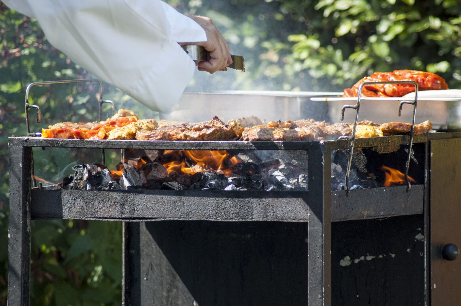 Nikon D40 sample photo. Barbecue, meat, carbon photography