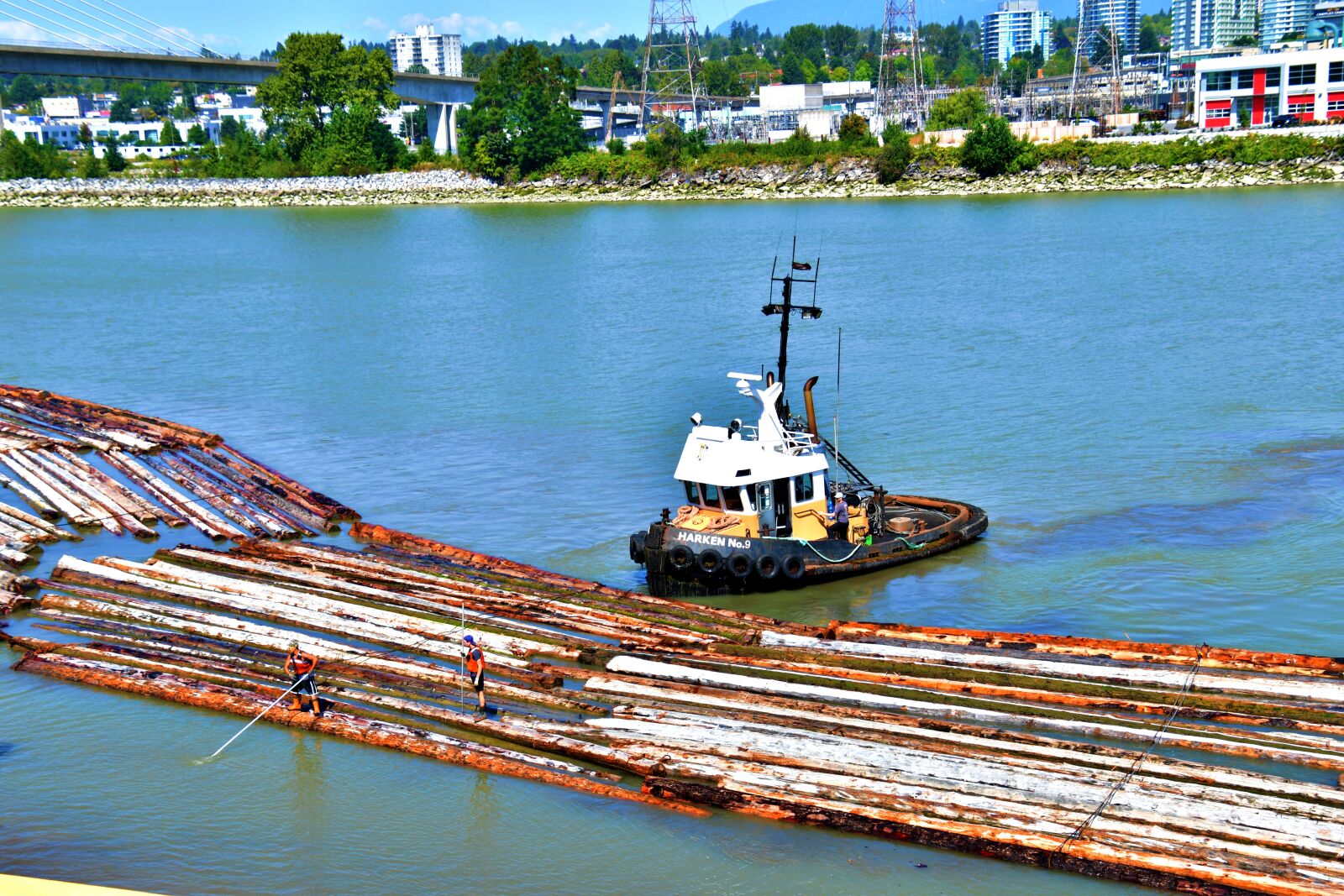 Nikon D7500 sample photo. Tugboat hauling logs, logs photography