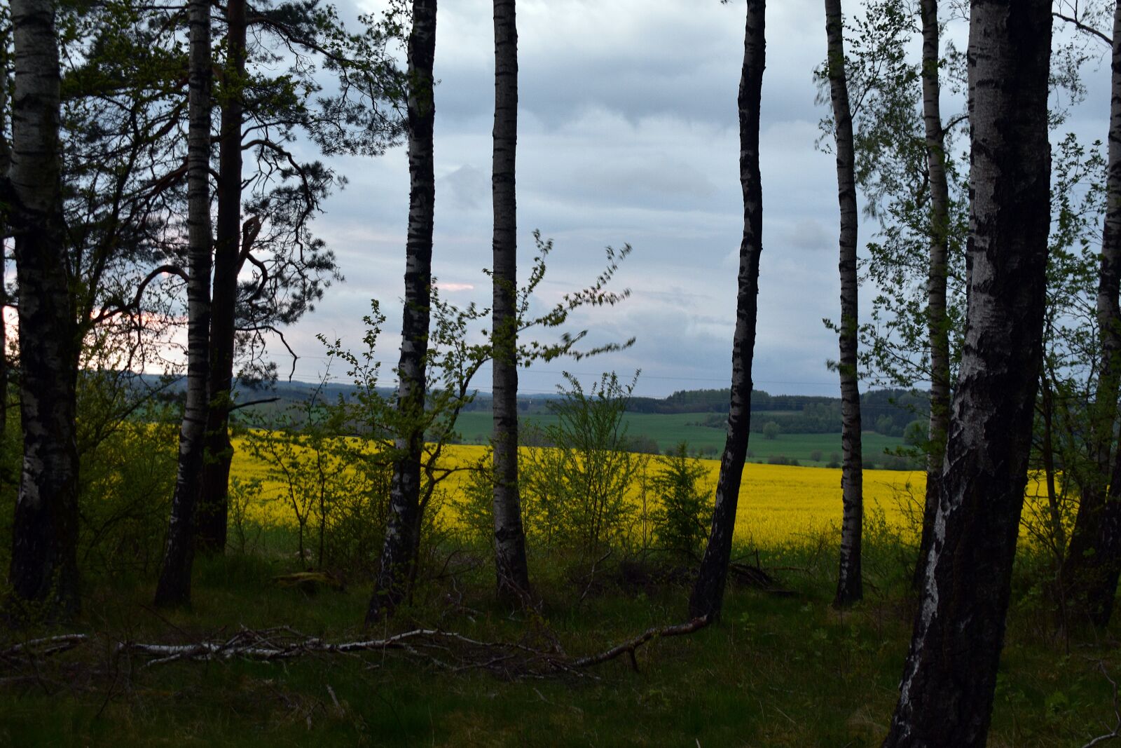 Nikon D3400 sample photo. Sunset, landscape, field photography
