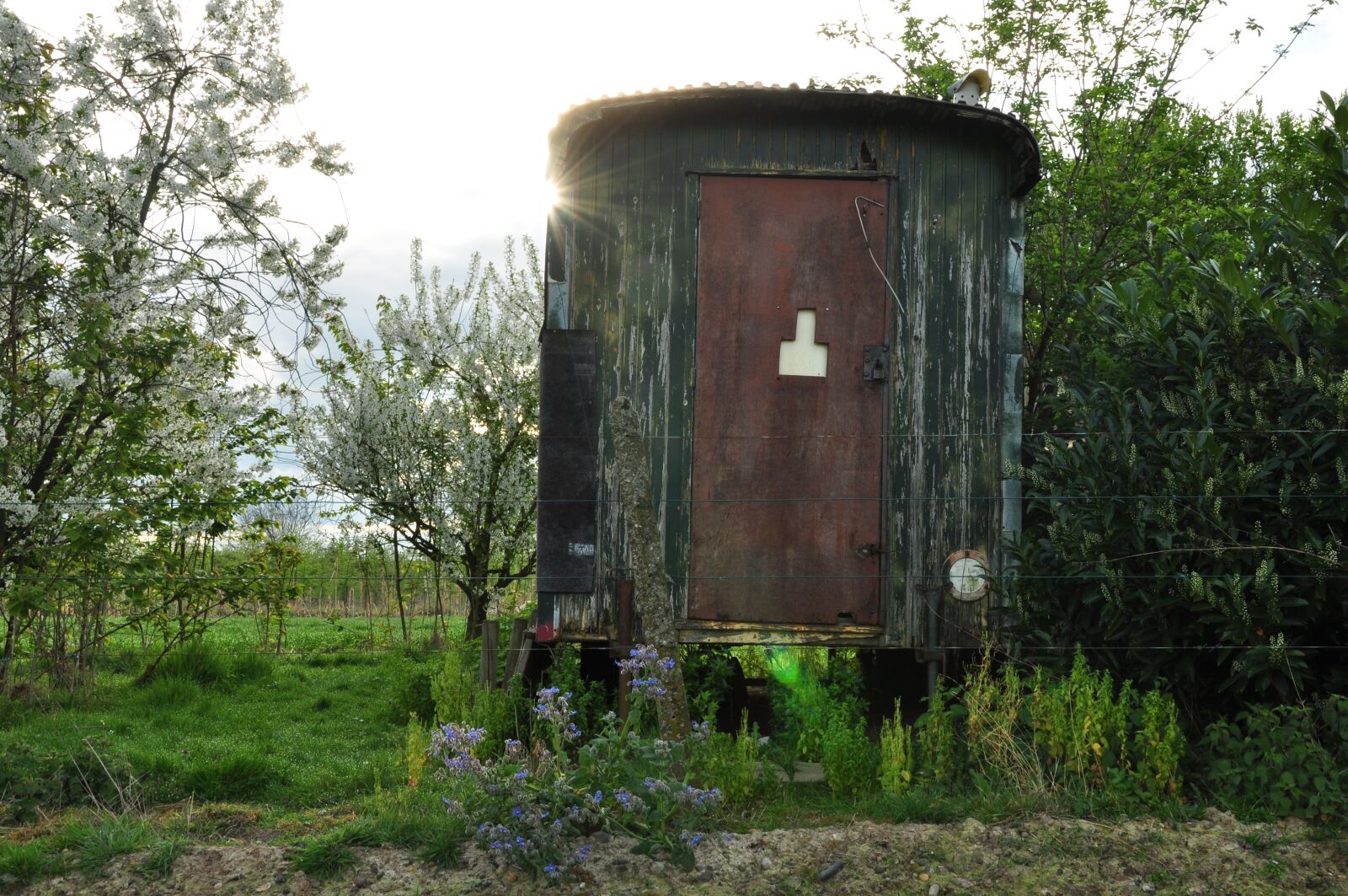 Nikon D90 sample photo. Old, dawn, field photography