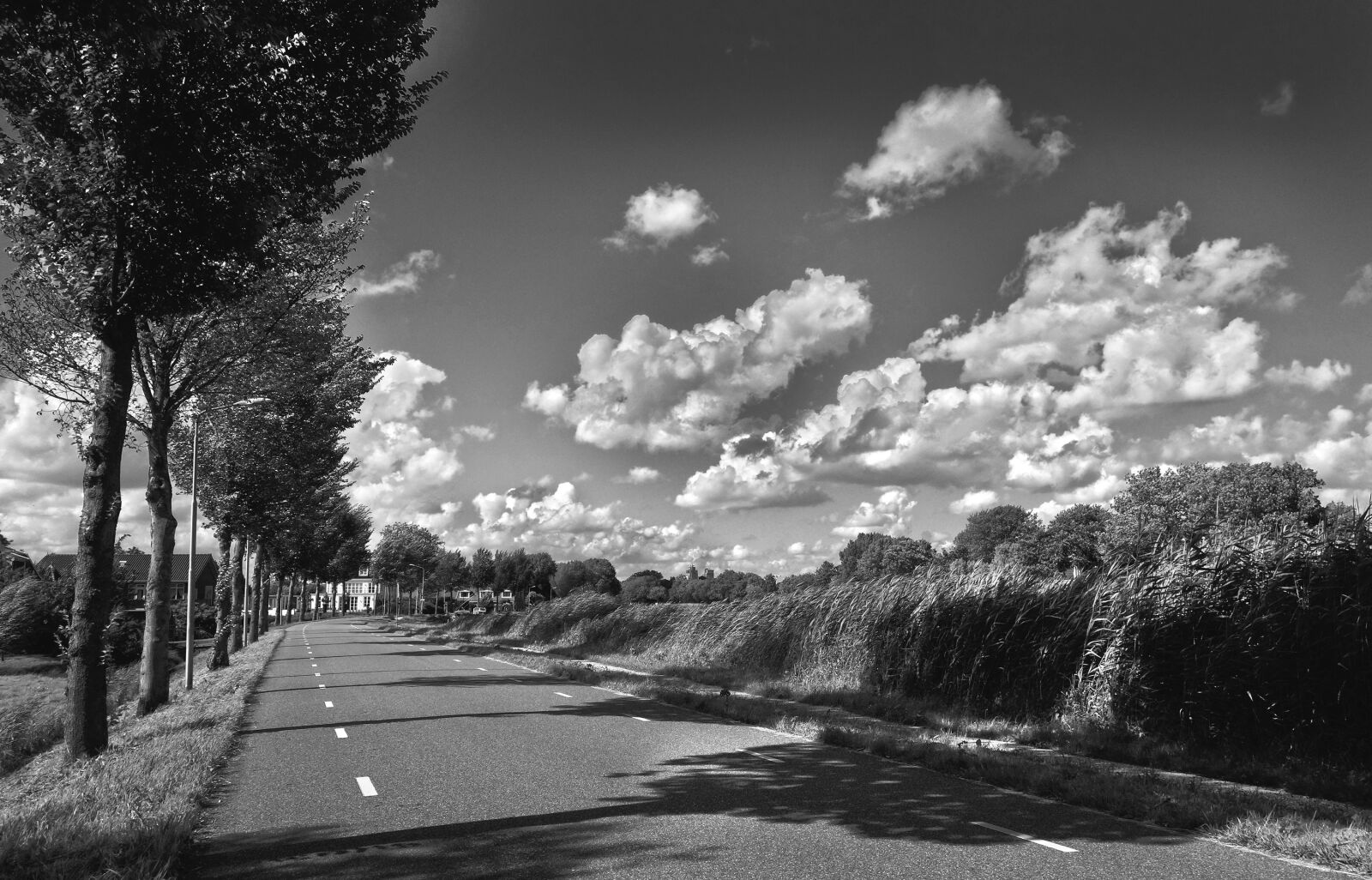 Sony Cyber-shot DSC-RX100 sample photo. Road, rural, travel photography