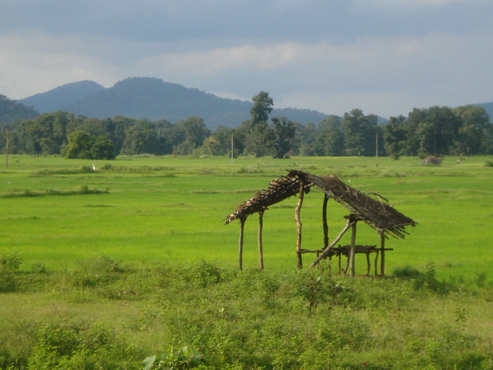Sony DSC-W55 sample photo. Agriculture, farmer, field, hut photography