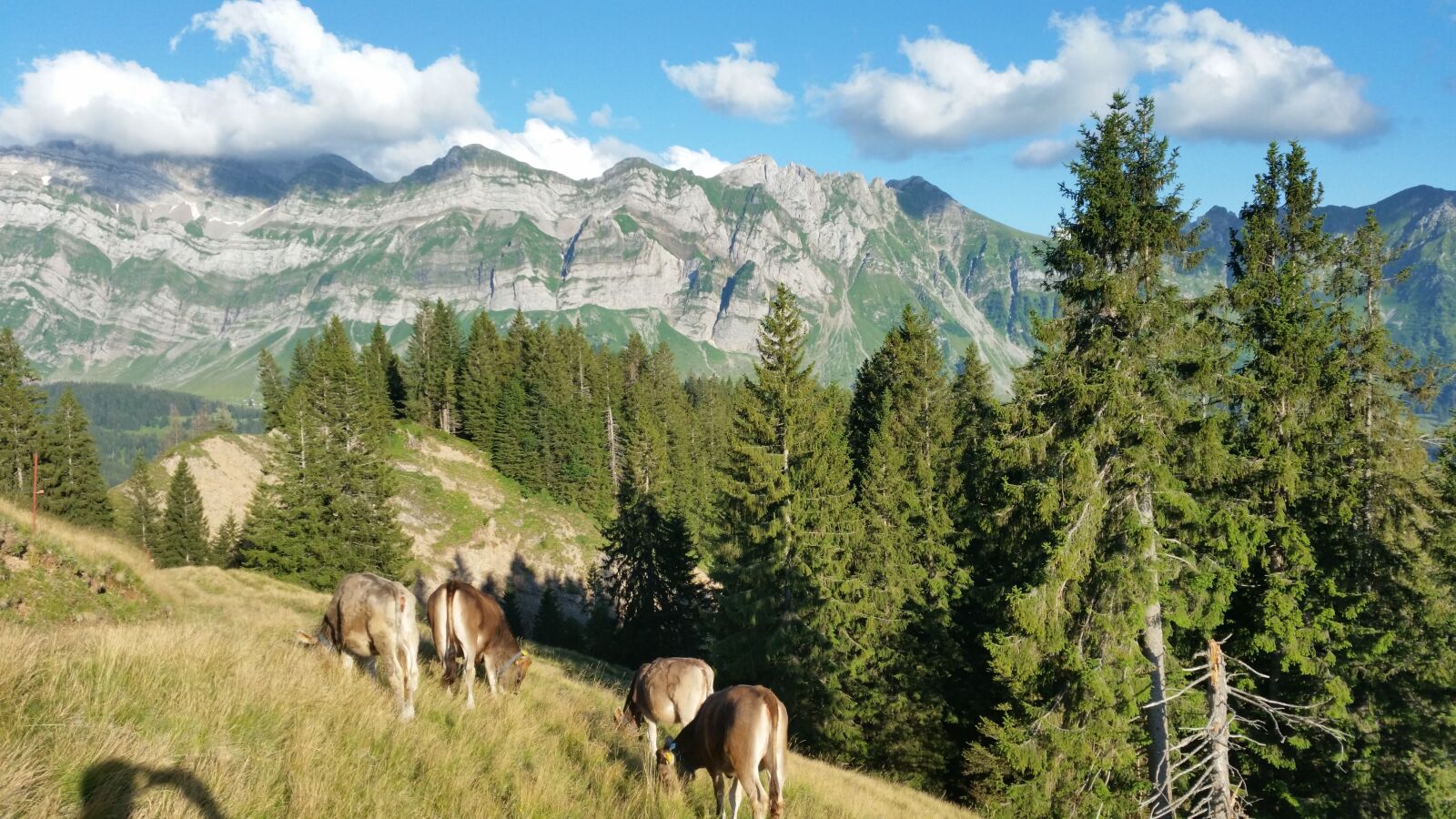 Samsung Galaxy S5 sample photo. Säntis, mountains, alpine photography
