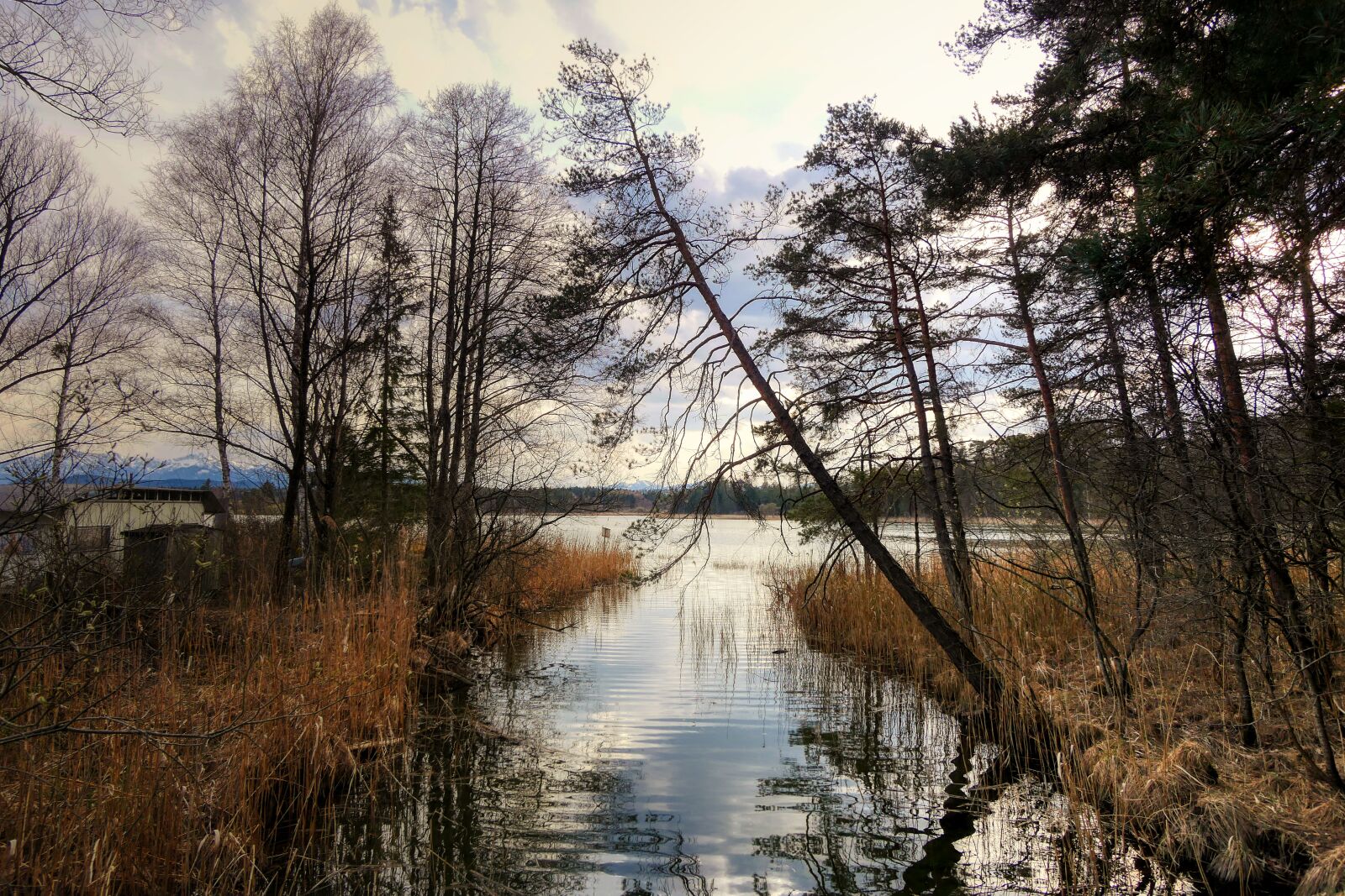 Panasonic Lumix DMC-GX8 sample photo. Lake, bach, bank photography
