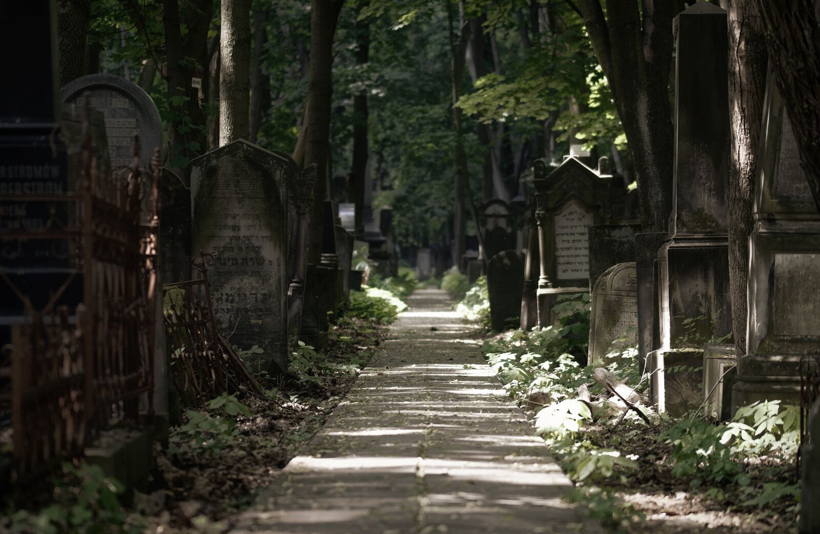 Nikon D5100 sample photo. Landscape, gloomy, cemetery photography