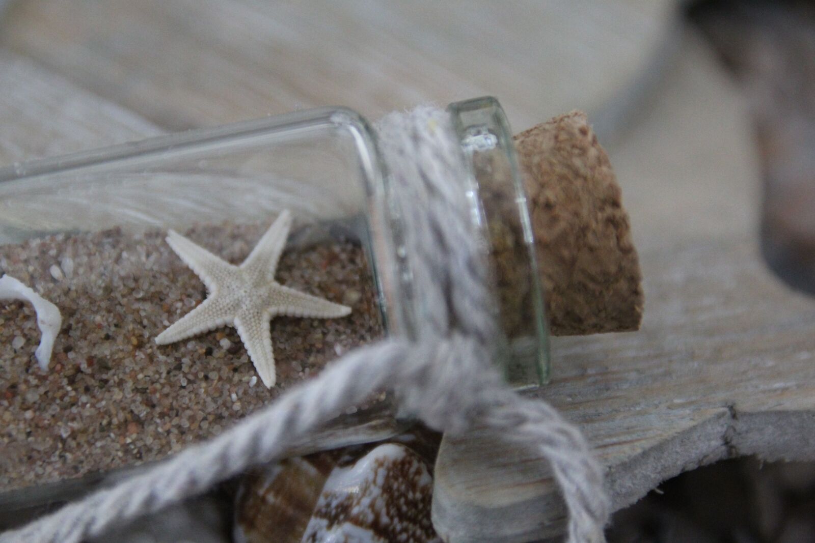 Canon EOS 1200D (EOS Rebel T5 / EOS Kiss X70 / EOS Hi) sample photo. Starfish, bottle, sand photography