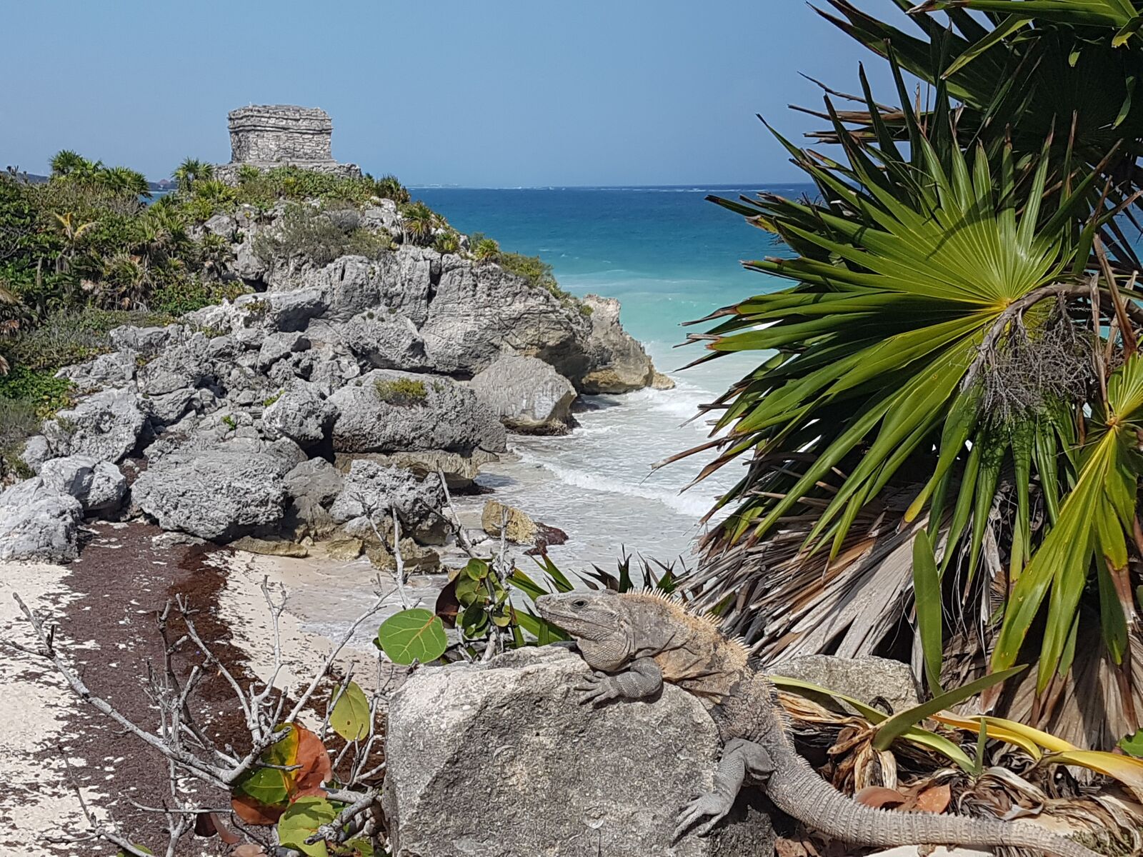 Samsung Galaxy S7 sample photo. Ruins, maya, yucatan photography