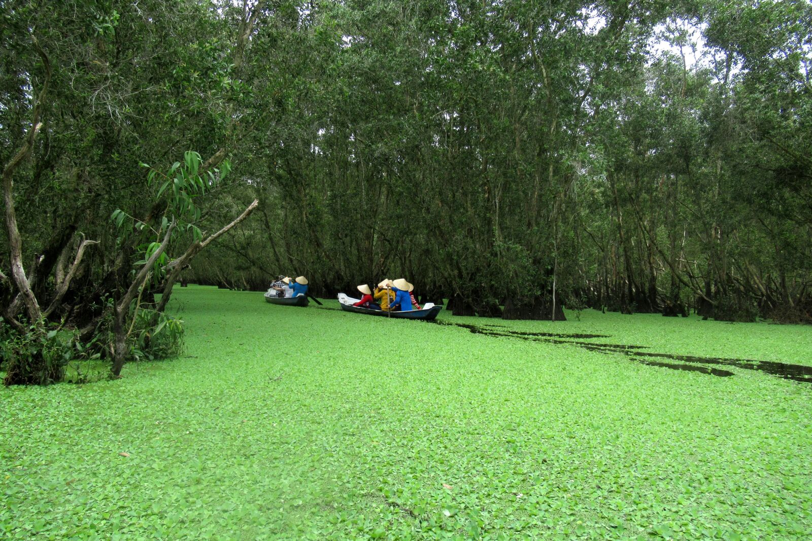 Canon PowerShot SX620 HS sample photo. Viet nam, between on photography