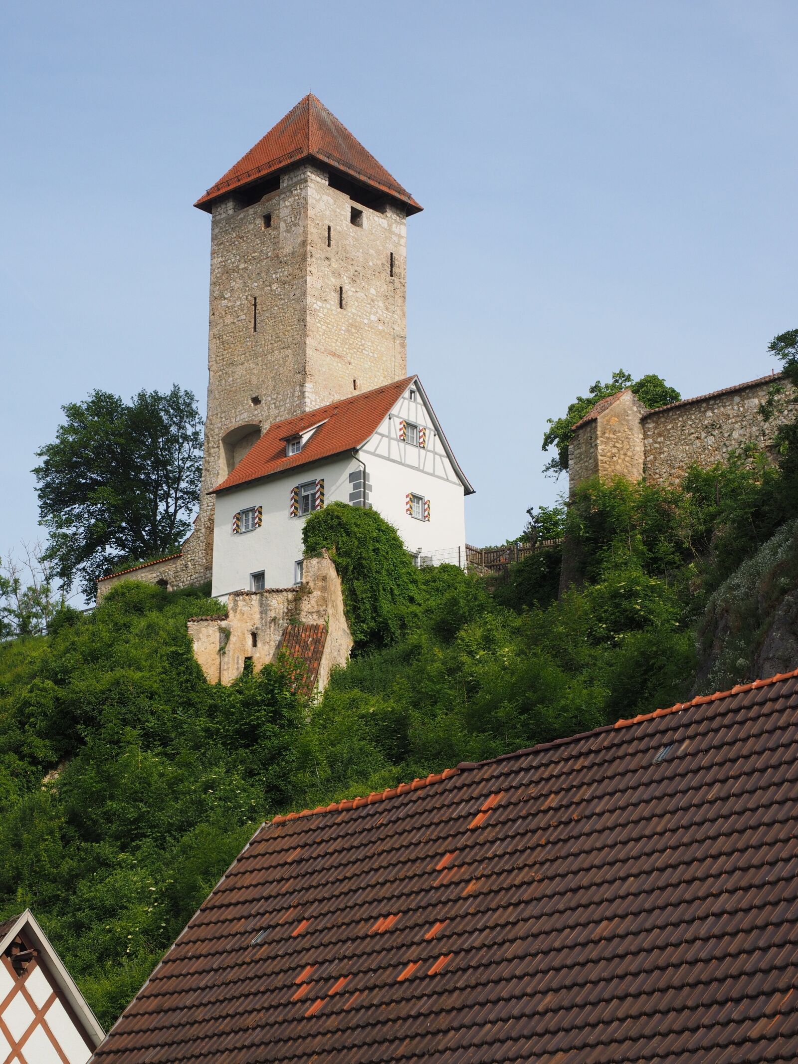 Olympus OM-D E-M1 + Olympus M.Zuiko Digital ED 12-40mm F2.8 Pro sample photo. Ruins of rechtenstein, castle photography