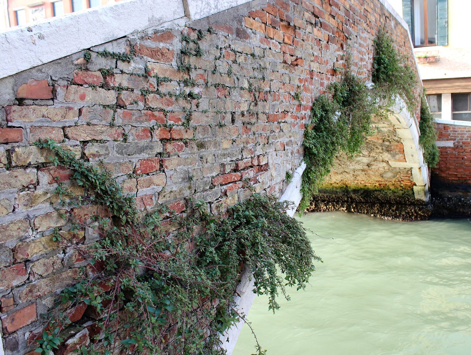 Canon EOS 600D (Rebel EOS T3i / EOS Kiss X5) sample photo. Bridge, venice photography