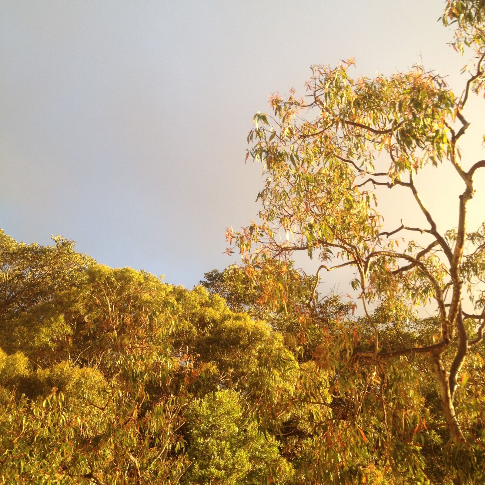 iPhone 4S back camera 4.28mm f/2.4 sample photo. Glow, grey, sky, sunset photography