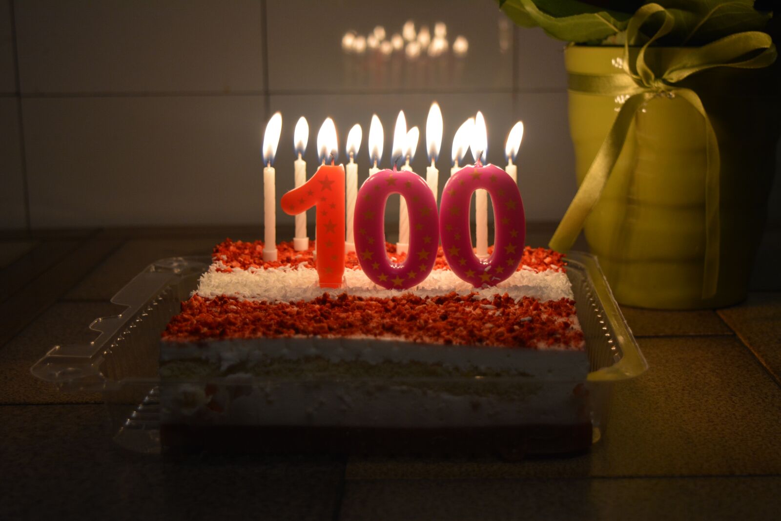 Nikon D5200 sample photo. Hundred, one hundred, 100 photography