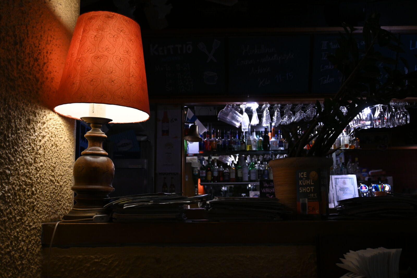 Nikon Nikkor Z DX 16-50mm F3.5-6.3 VR sample photo. Lamp by the bar photography