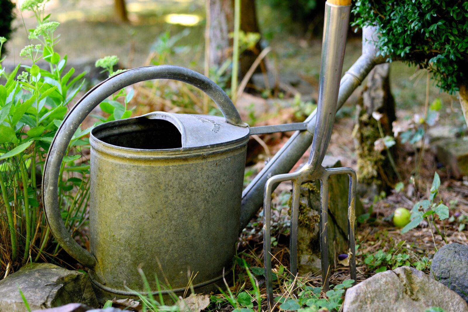 Nikon D610 sample photo. Watering can, digging fork photography
