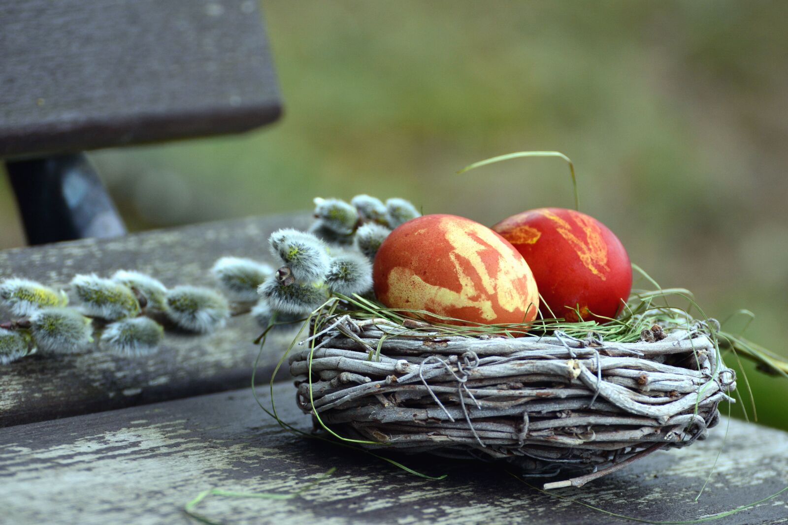 Nikon D5200 sample photo. Egg, nest, bench, colorful photography