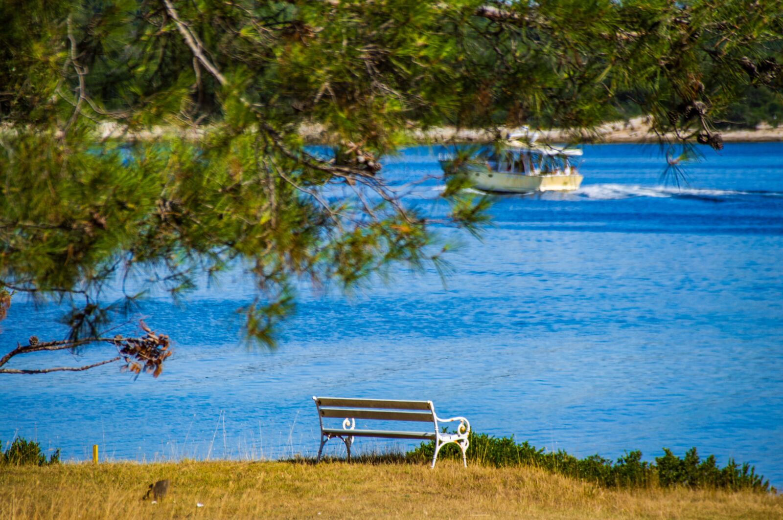 Nikon D3200 sample photo. Bank, relax, rest photography