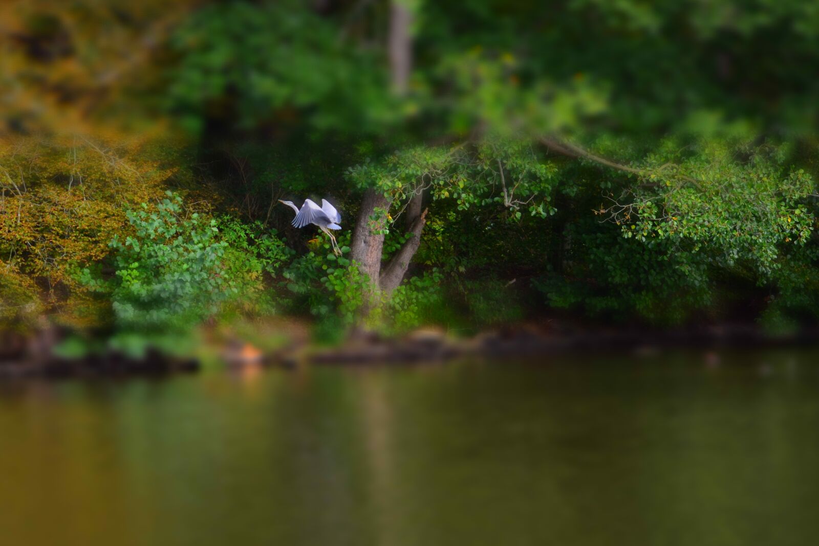 Nikon D5200 sample photo. Nature, heron, pond photography
