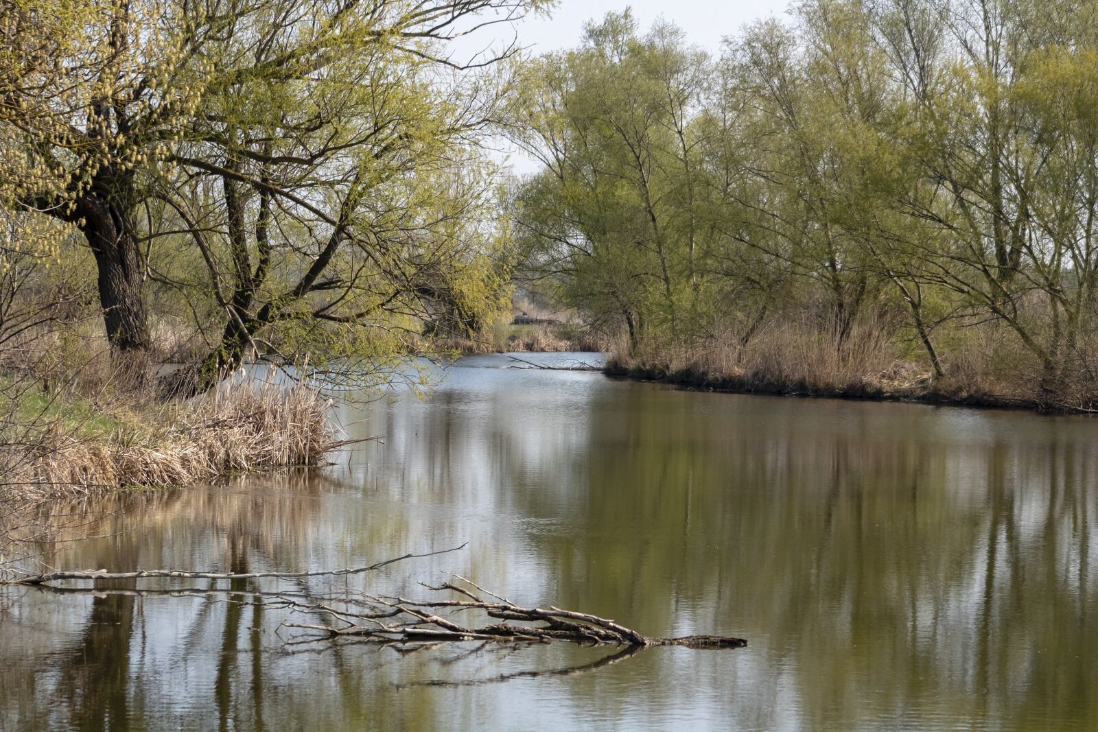 Canon EF75-300mm f/4-5.6 sample photo. Landscape, river, water photography