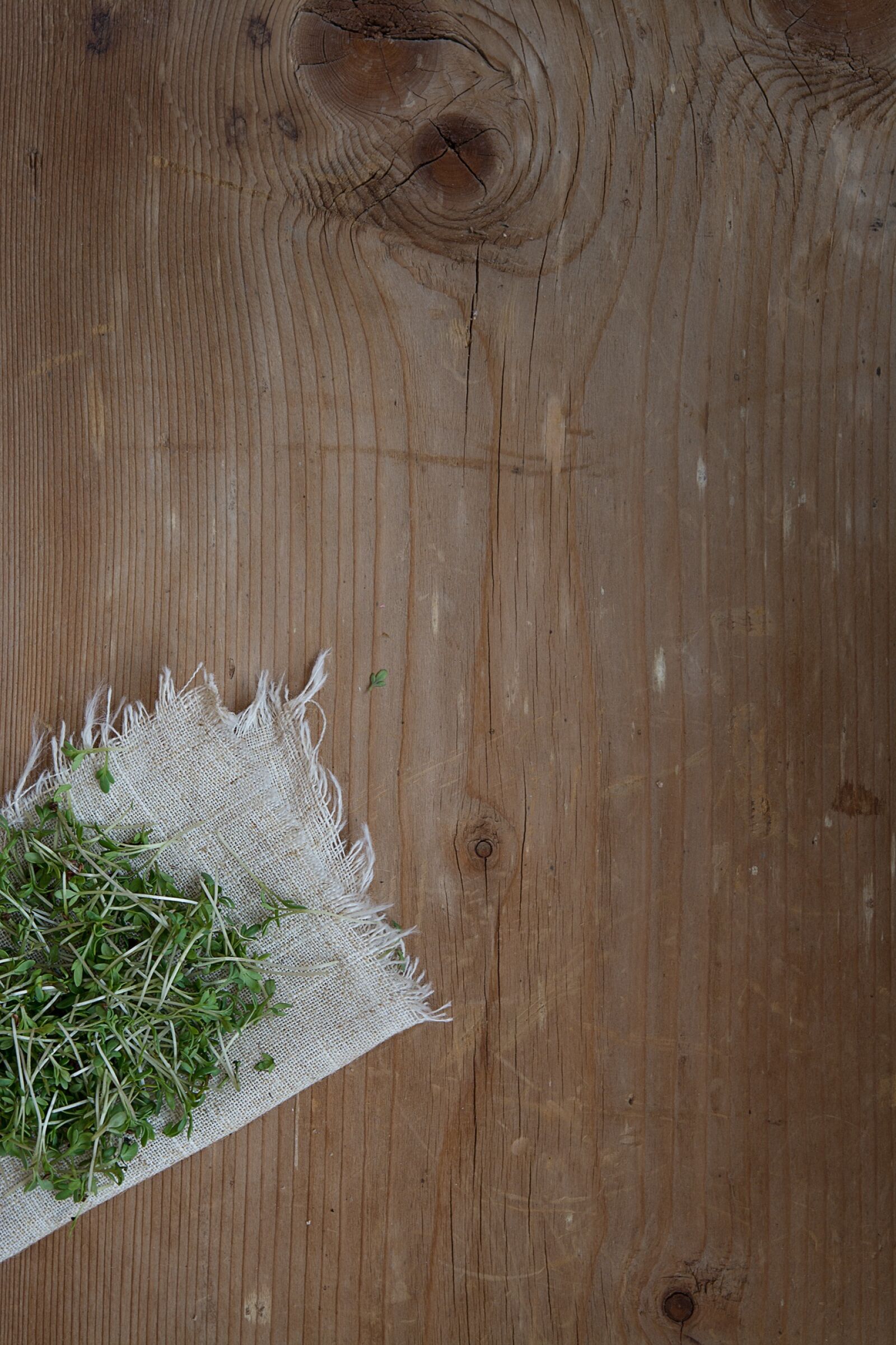 Nikon D7100 sample photo. Cress, plant, green photography