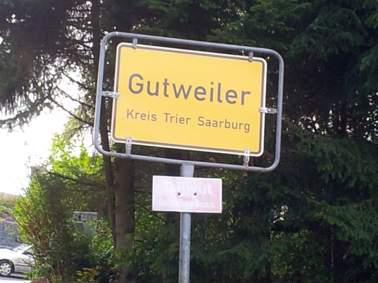 Samsung Galaxy S2 sample photo. Gutweiler, rabies, disease photography