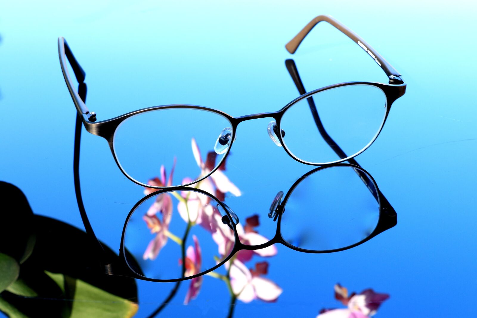 Canon EOS 700D (EOS Rebel T5i / EOS Kiss X7i) sample photo. Glasses, orchid, see photography