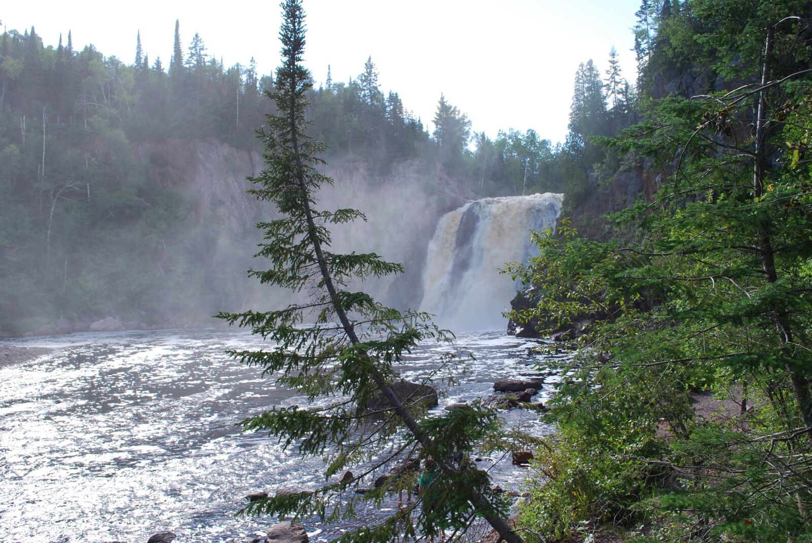 Nikon D60 sample photo. Pine, tree, waterfall photography
