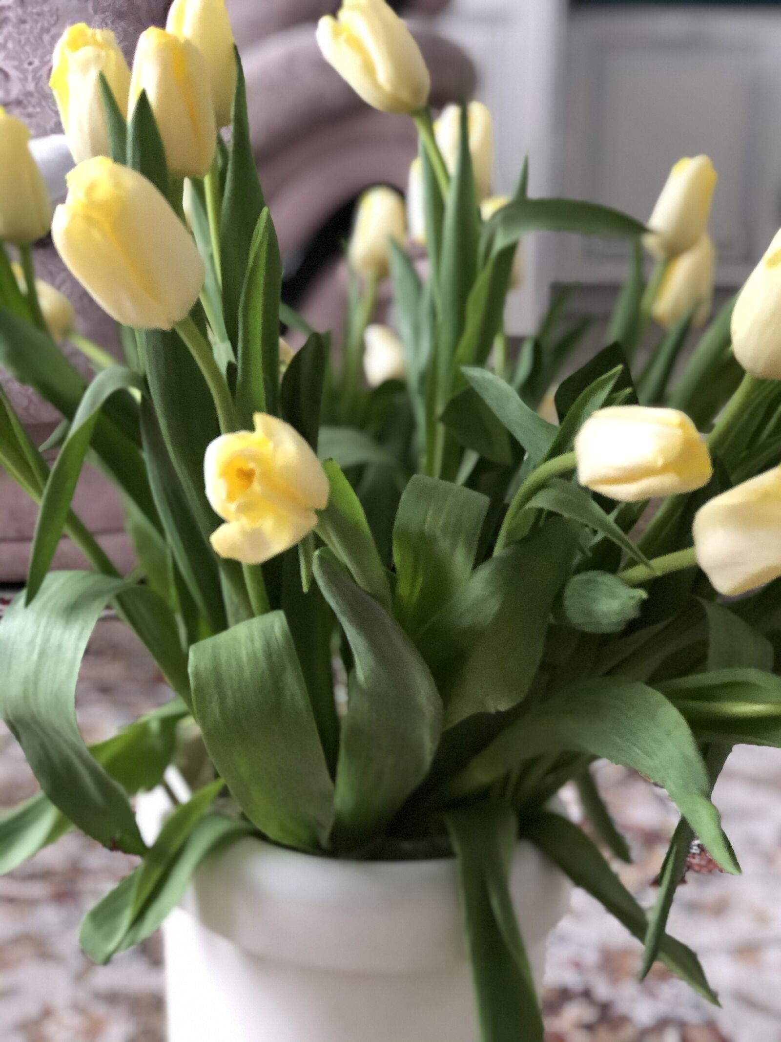 iPhone 8 Plus back dual camera 6.6mm f/2.8 sample photo. желтые, тюльпаны, весна photography