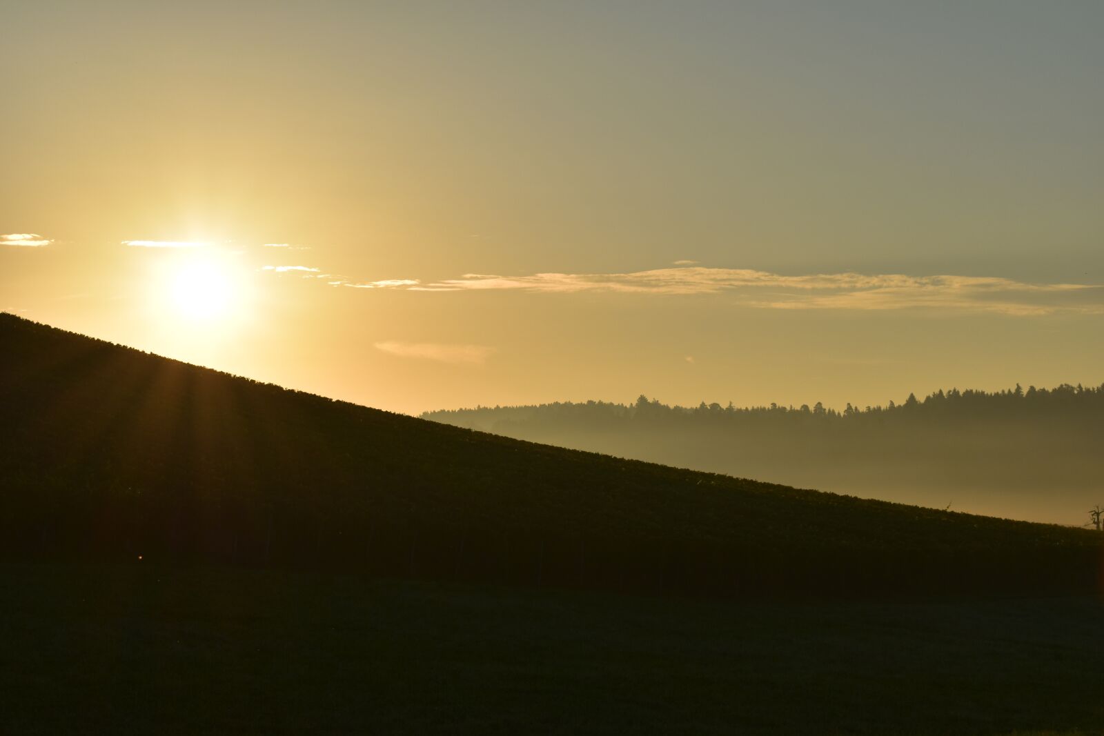 Nikon D5500 sample photo. Morgenstimmung, sunrise, skies photography