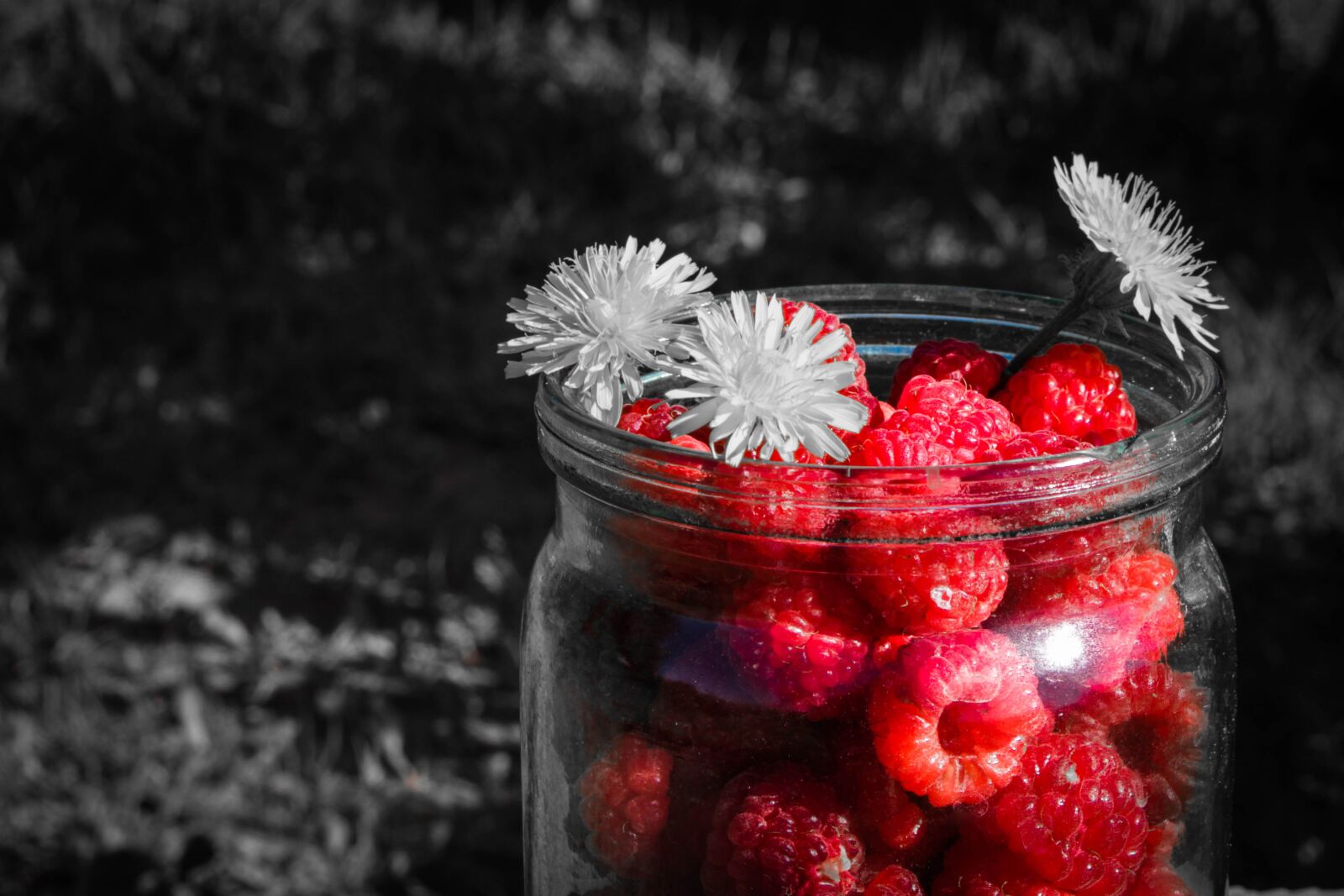 Canon EOS 700D (EOS Rebel T5i / EOS Kiss X7i) sample photo. Raspberry, berry black, grey photography