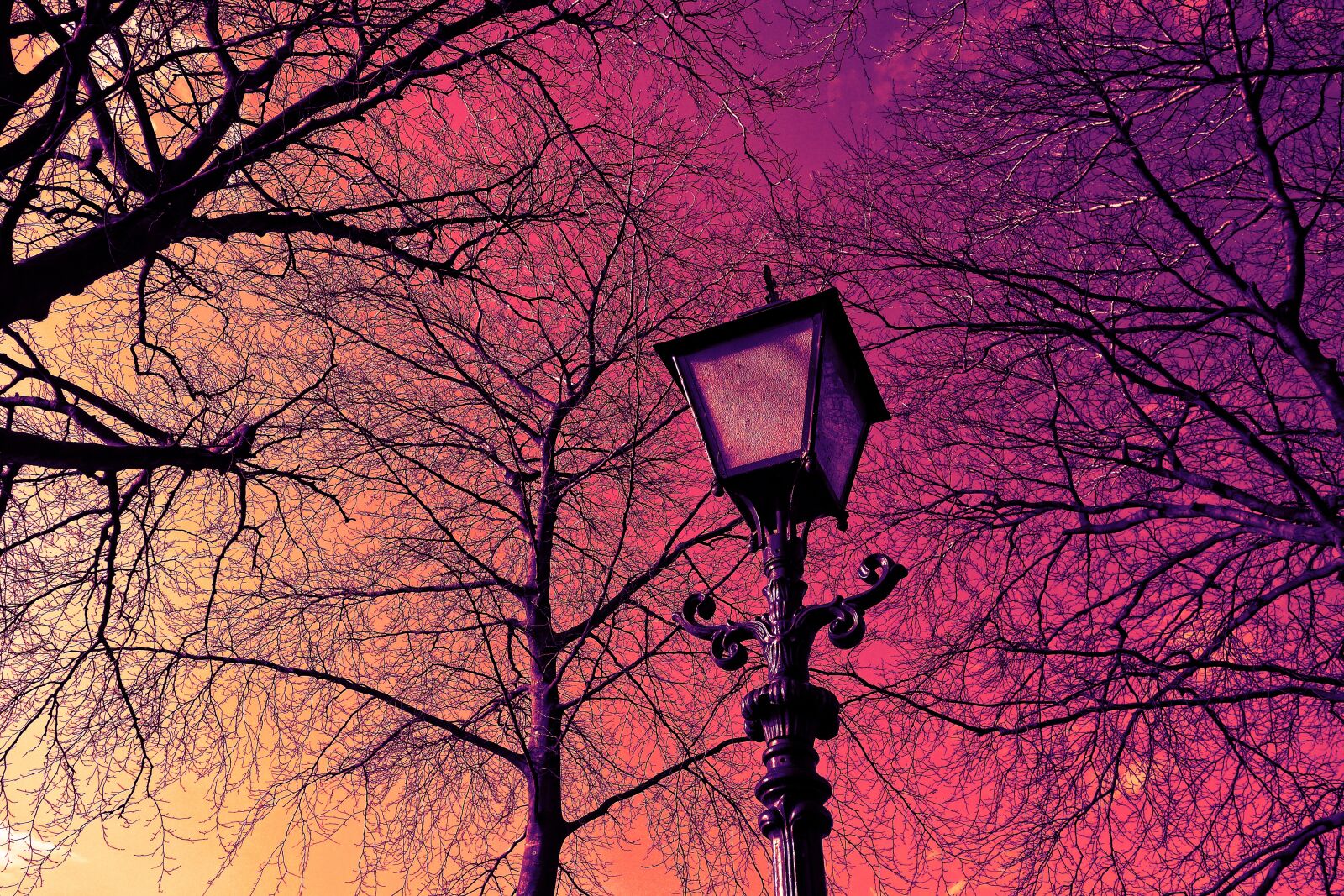 Sony Cyber-shot DSC-RX100 sample photo. Lantern, streetlamp, lamppost photography