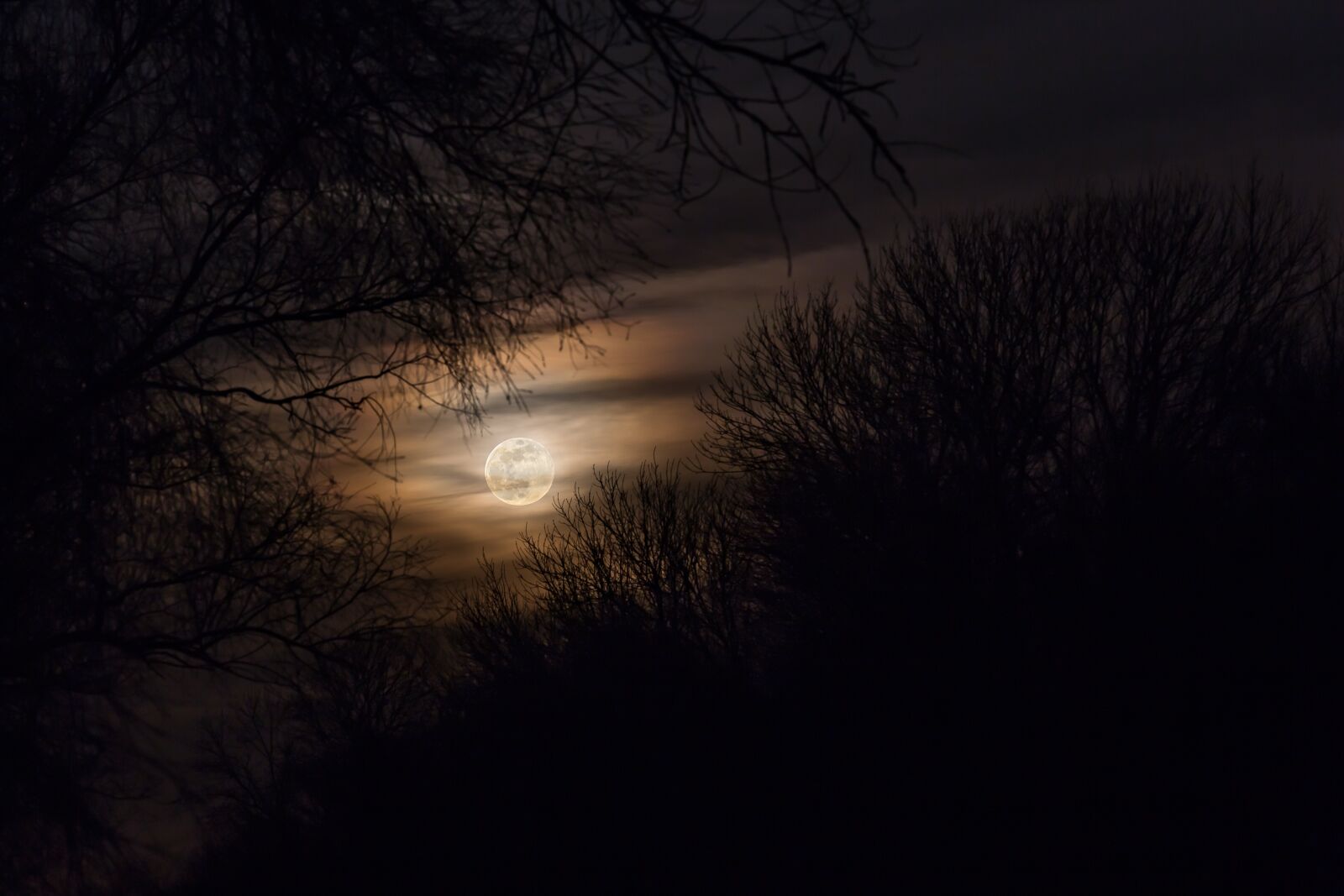 Canon EF 70-200mm F2.8L USM sample photo. Moon, full moon, at photography