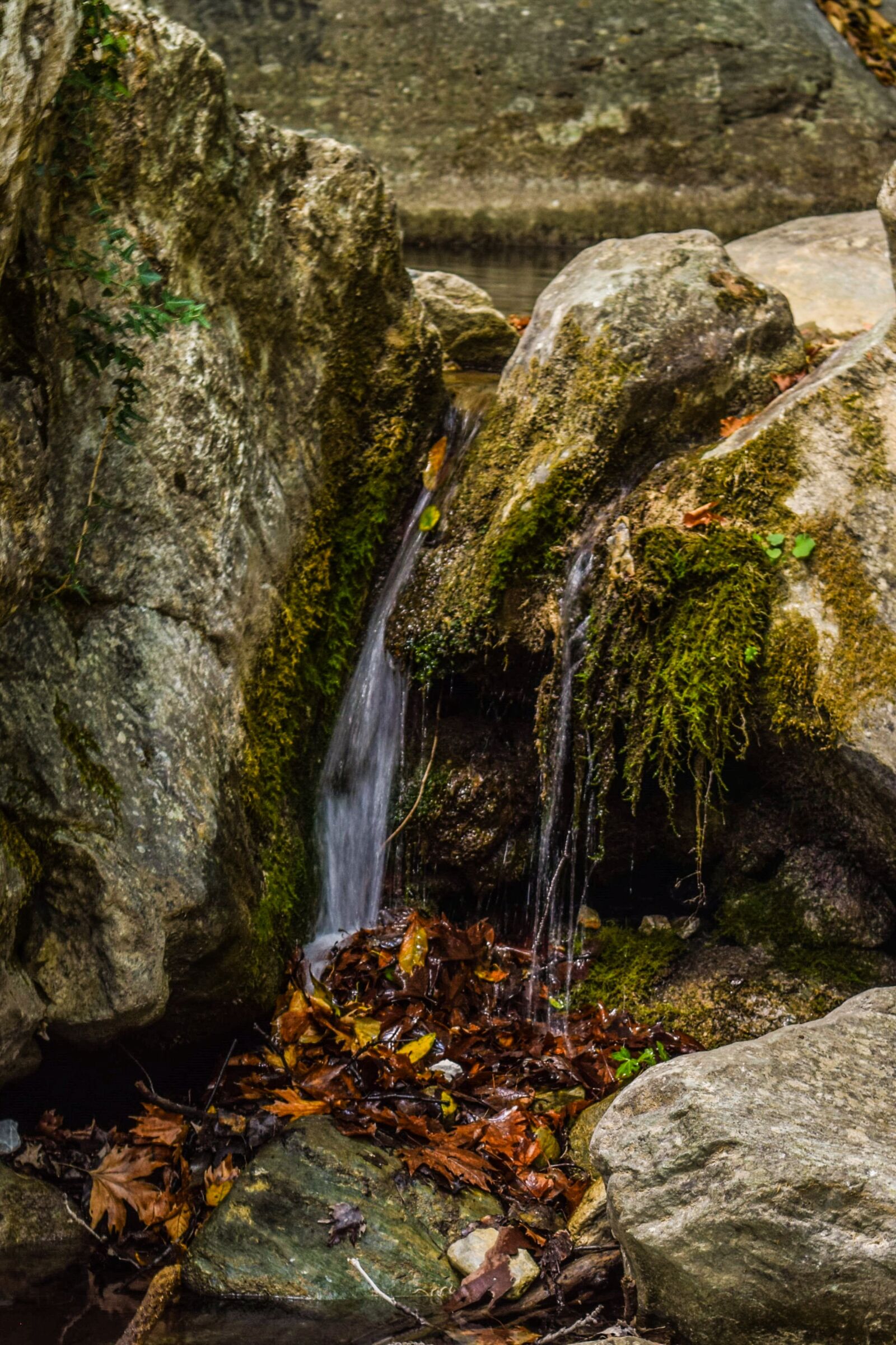 Nikon D3300 sample photo. Stream, water, clean photography