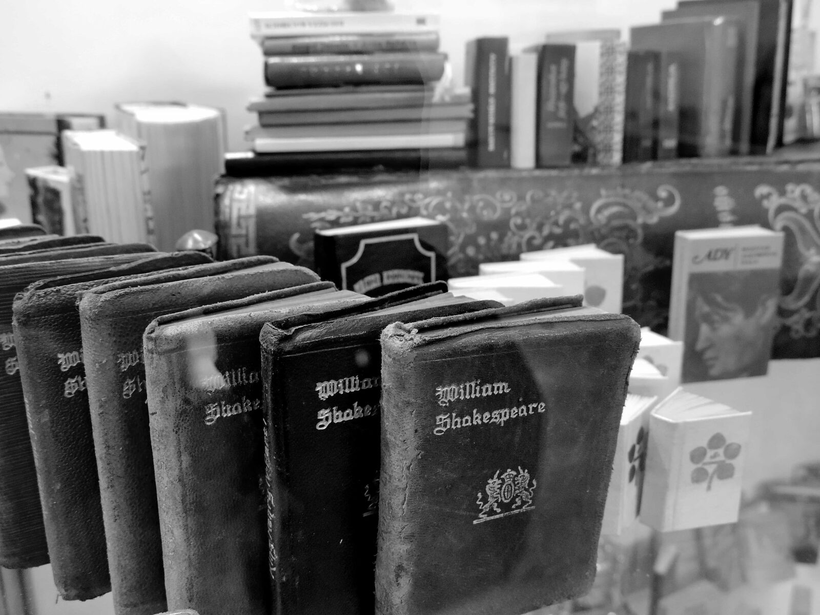 Nikon Coolpix P520 sample photo. Black and white, books photography