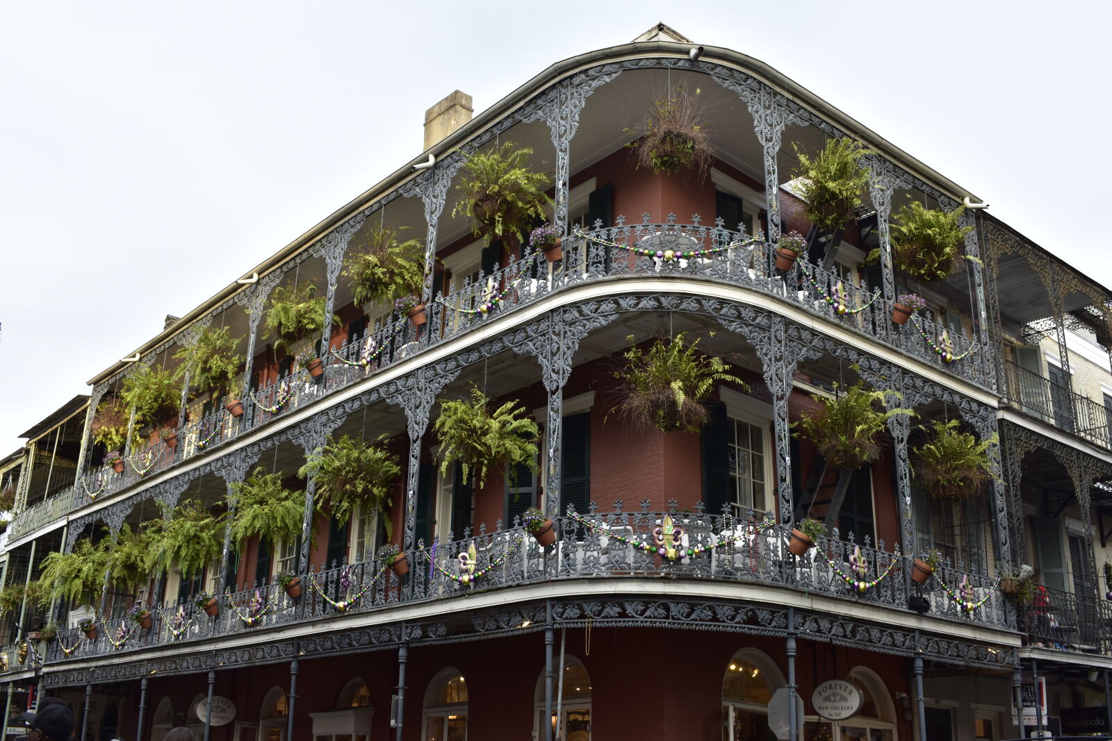 Nikon AF-P DX Nikkor 18-55mm F3.5-5.6G sample photo. French, architect, bebold photography