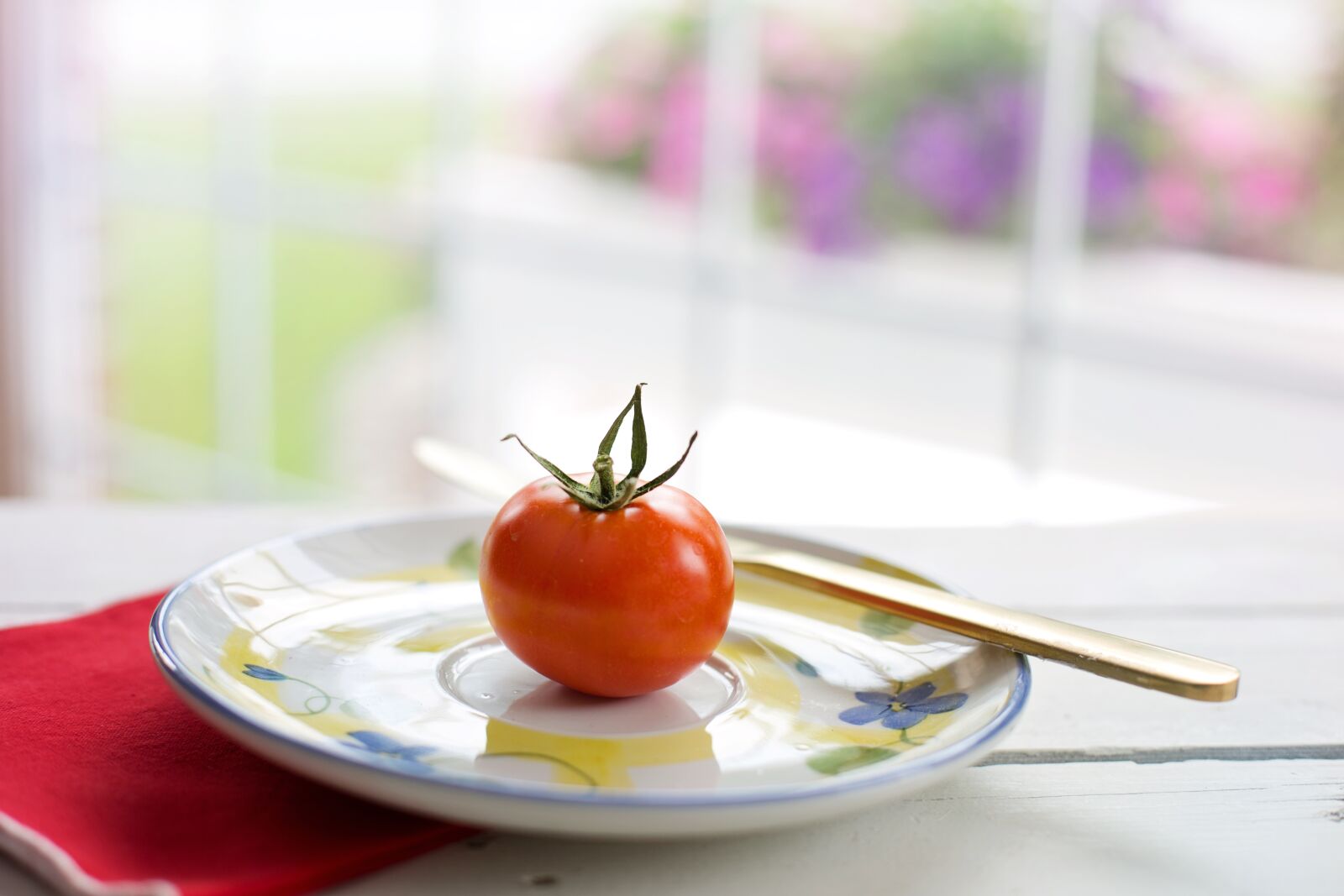 Canon EF 50mm F1.4 USM sample photo. Tomato, ripe, red photography