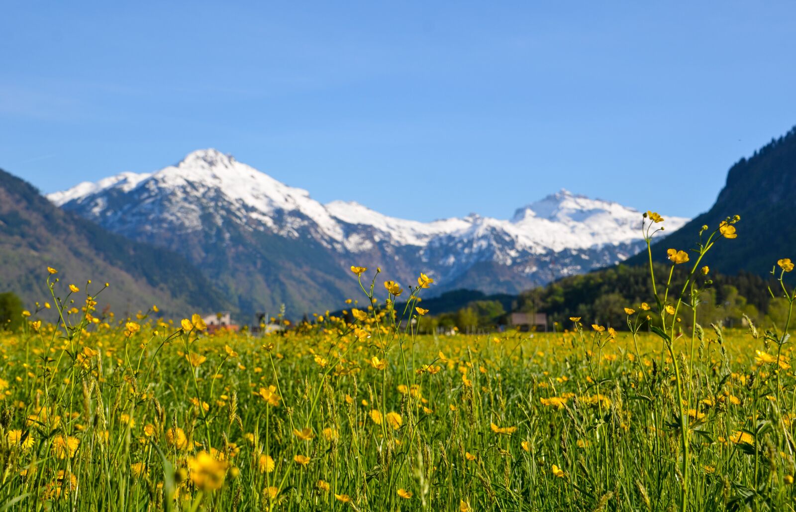 Nikon D7000 sample photo. Hiking, alpine, landscape photography