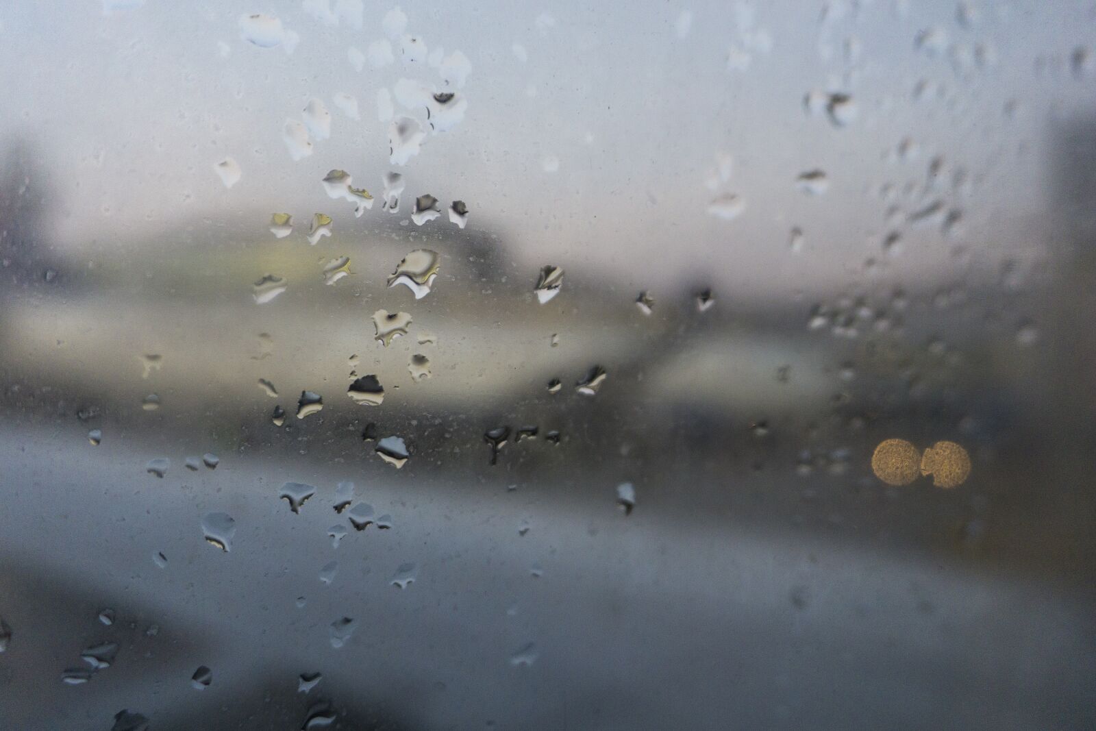 Sony a6000 sample photo. Raindrops, raining, rain photography
