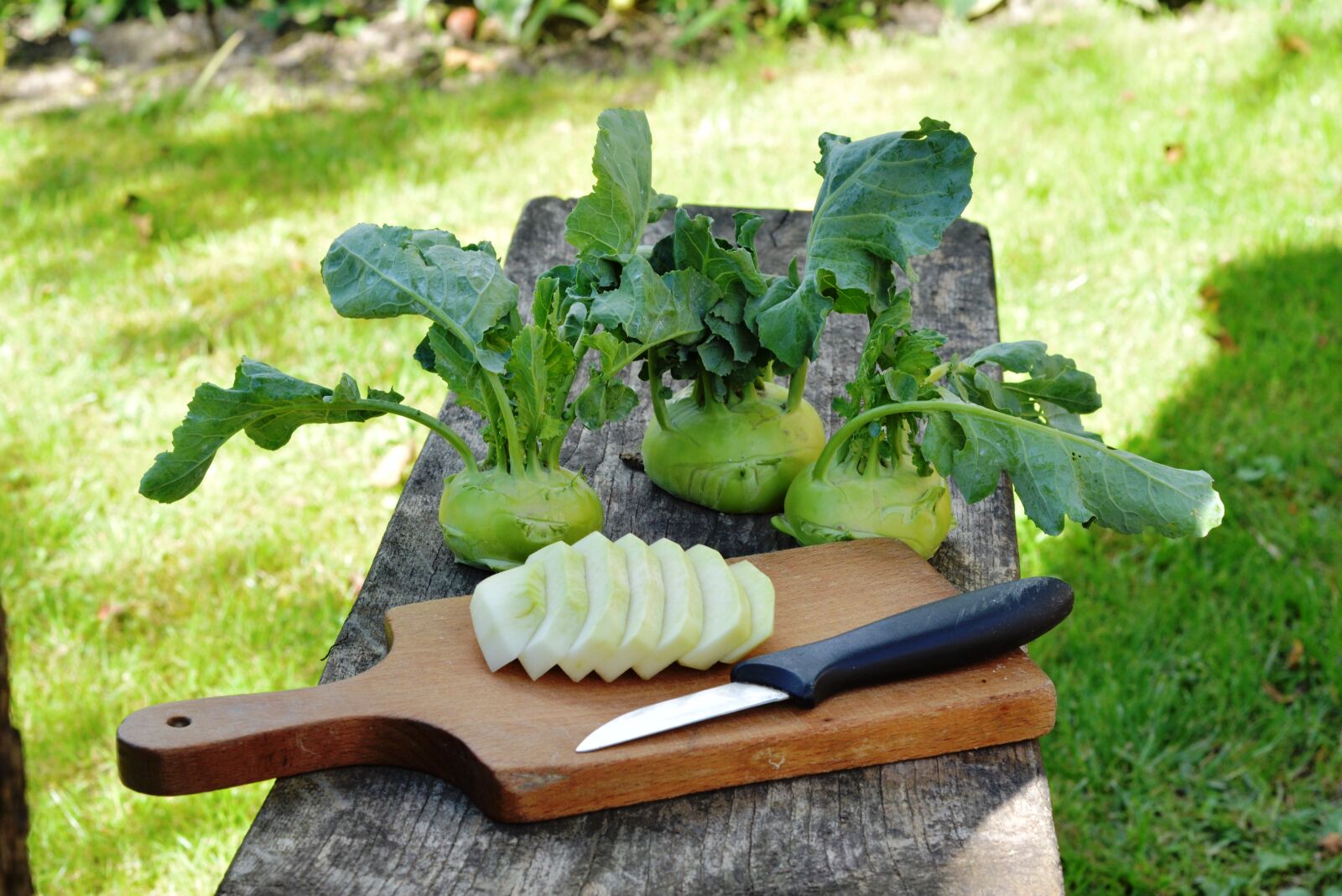 Nikon D5200 sample photo. Chinese cabbage ' kohlrabi photography